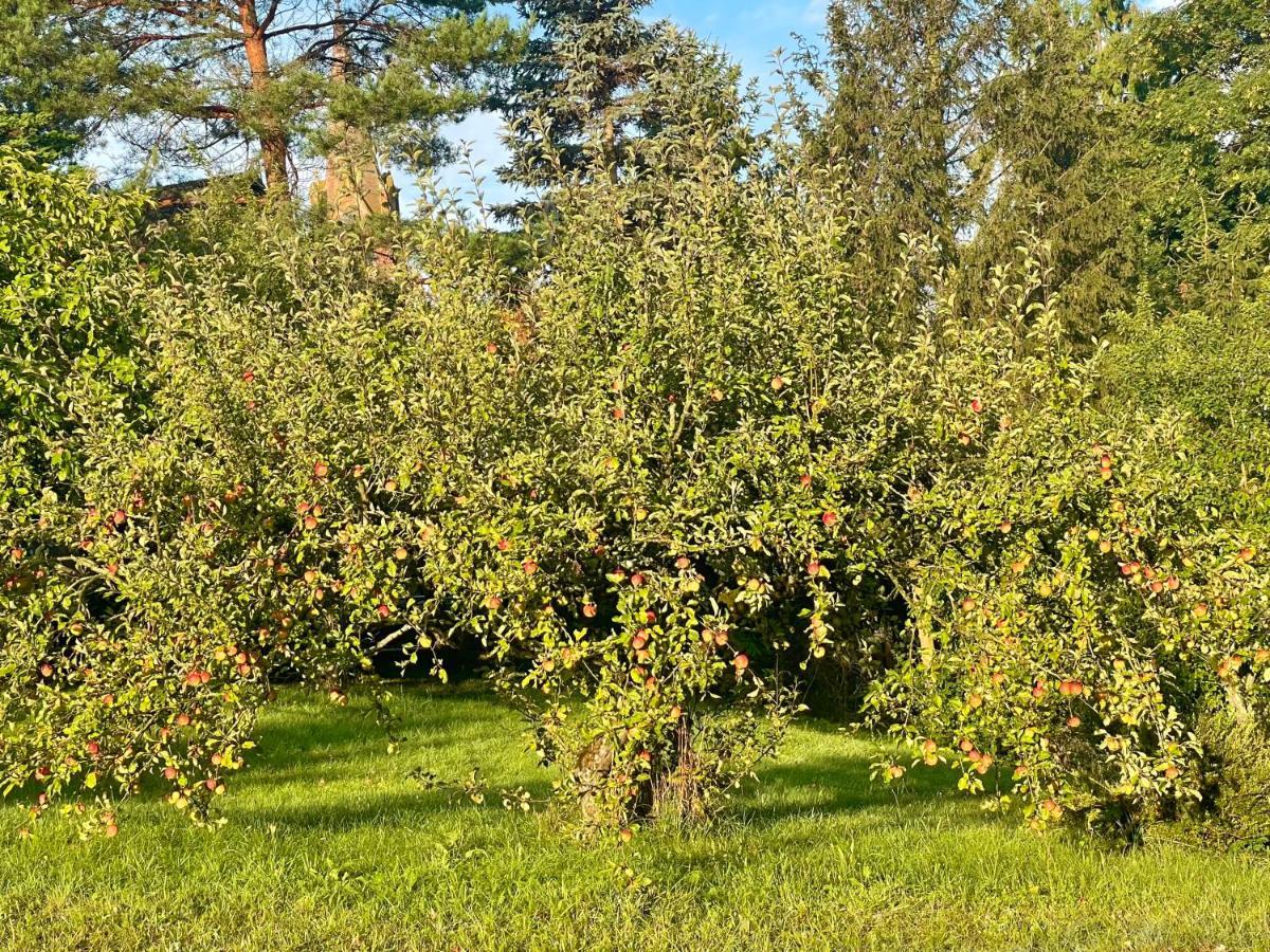 Apple Tree House Villa Lubin  Eksteriør bilde